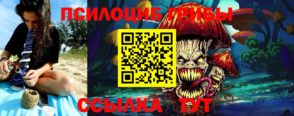 Псилоцибиновые грибы Cubensis Комсомольск-на-Амуре